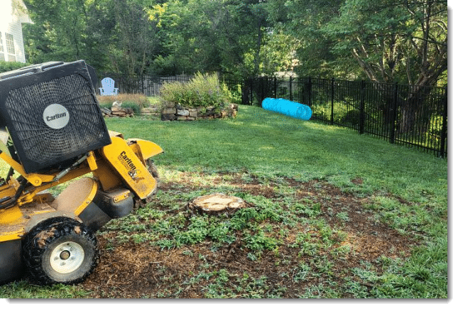 stump removal near me