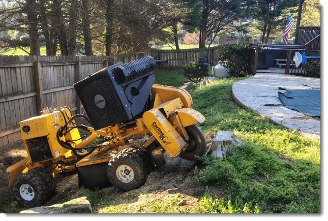 stump grinding near me
