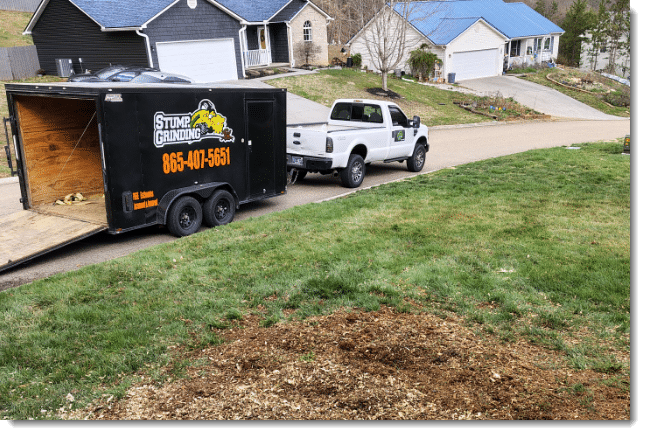 TNStumps our services